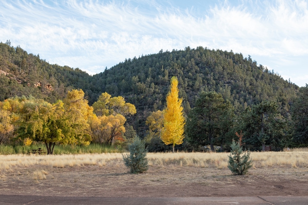 Tonto,Natural,Bridge,State,Park.,Autumn.