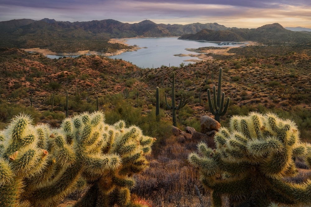 A,Breathtaking,Desert,Landscape,Overlooking,Bartlett,Lake,In,Arizona,At