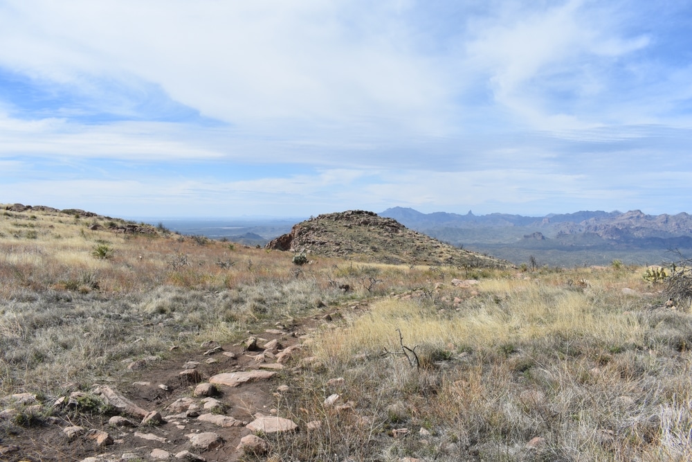 Wilderness,At,Top,Of,Picketpost,Mountain,In,Arizona
