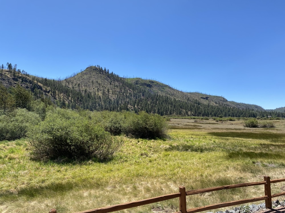 Nature,Scenery,In,Greer,Arizona