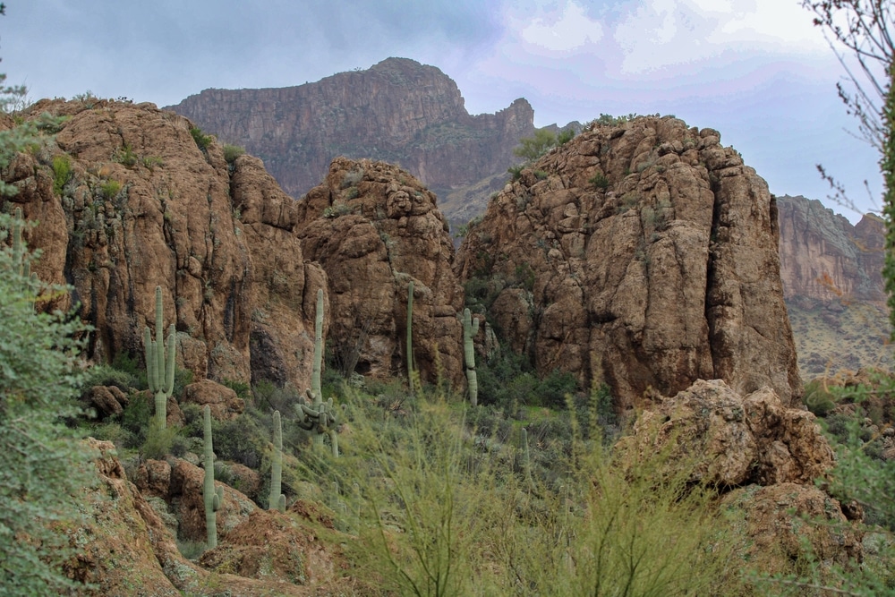 Boyce,Thompson,Arboretum,Pinal,County,Arizona