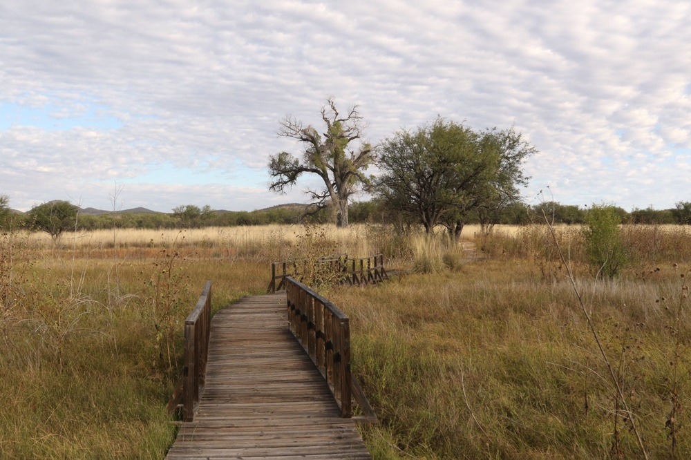 Arivaca,Cienega,Boardwalk,,Buenos,Aires,National,Wildlife,Refuge,,Arivaca,,Arizona