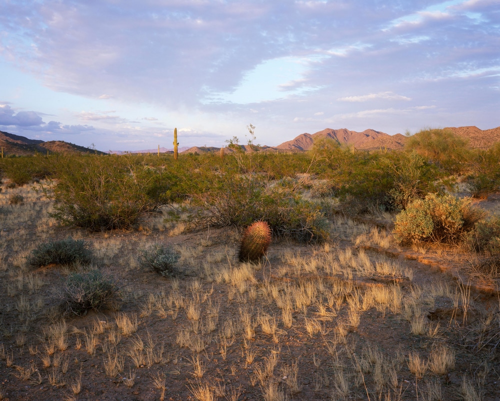 Cabeza,Prieta,National,Wildlife,Refuge,,Arizona,,Usa