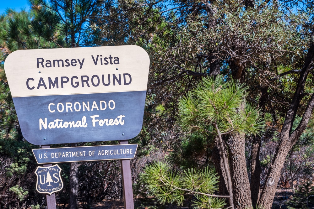 Coronado,National,Forest,,Az,,Usa,-,November,12,,2019:,A