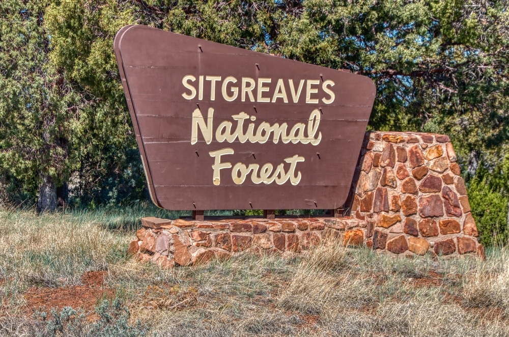 Show,Low,,Arizona,,United,States,6-13-2020,Apache,Sitgreaves,National,Forest