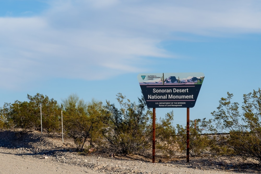 Gila,Bend,,Arizona,-,Nov.,28,,2022:,The,Sonoran,Desert