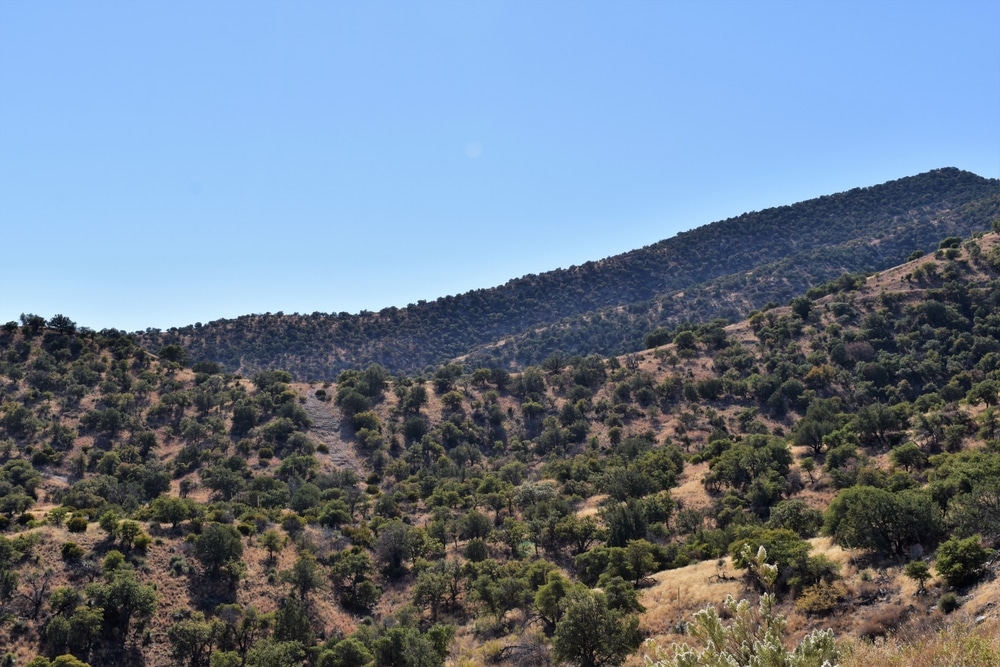 A,Saddle,And,Ridge,Near,Fort,Huachuca