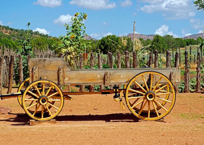 Pipes,Spring,National,Monument,,Arizona,-,Aug,2016:,Old,Agricultural